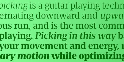 Foreday Serif Font Poster 4